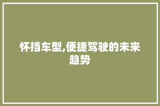 怀挡车型,便捷驾驶的未来趋势