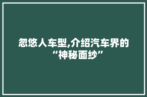 忽悠人车型,介绍汽车界的“神秘面纱” 蓄电池配件