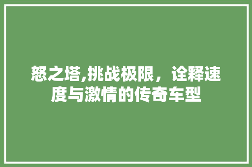 怒之塔,挑战极限，诠释速度与激情的传奇车型