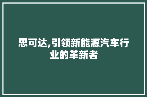 思可达,引领新能源汽车行业的革新者