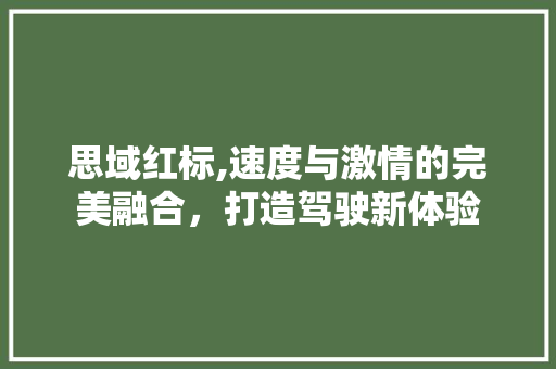 思域红标,速度与激情的完美融合，打造驾驶新体验