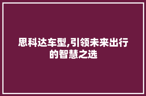 思科达车型,引领未来出行的智慧之选