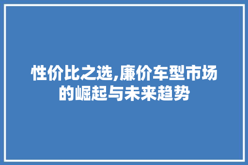 性价比之选,廉价车型市场的崛起与未来趋势