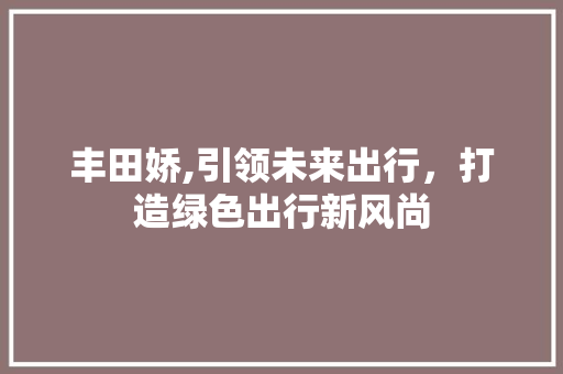 丰田娇,引领未来出行，打造绿色出行新风尚