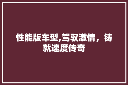 性能版车型,驾驭激情，铸就速度传奇