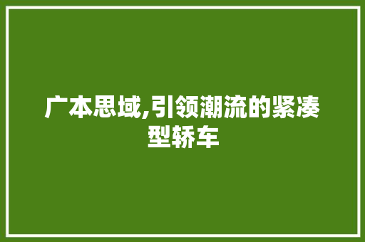 广本思域,引领潮流的紧凑型轿车