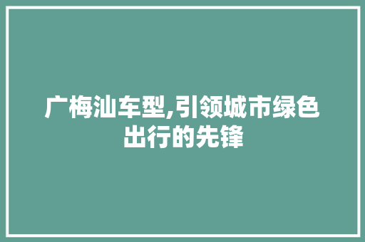 广梅汕车型,引领城市绿色出行的先锋