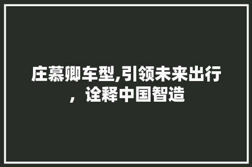 庄慕卿车型,引领未来出行，诠释中国智造