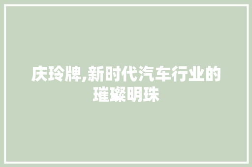 庆玲牌,新时代汽车行业的璀璨明珠