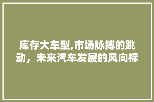 库存大车型,市场脉搏的跳动，未来汽车发展的风向标