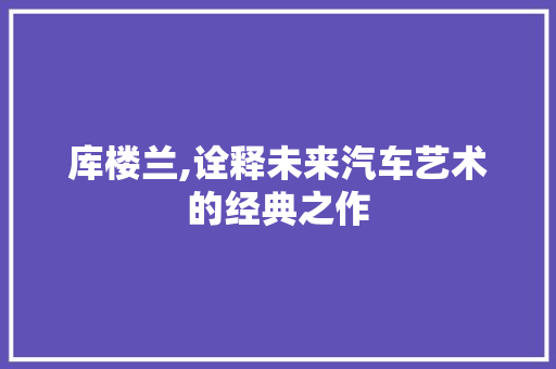库楼兰,诠释未来汽车艺术的经典之作 车身配件