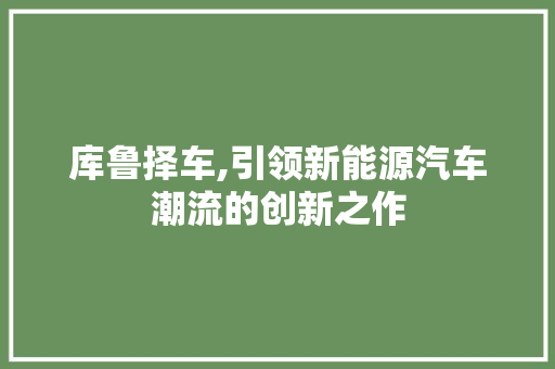 库鲁择车,引领新能源汽车潮流的创新之作