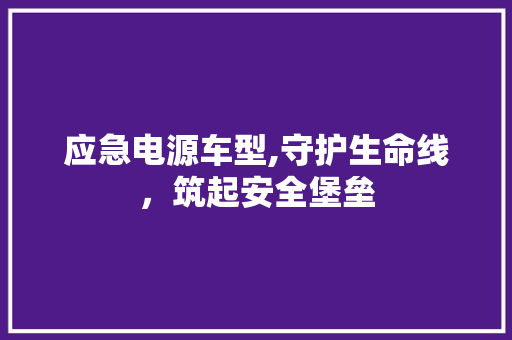 应急电源车型,守护生命线，筑起安全堡垒