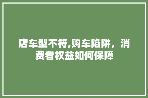 店车型不符,购车陷阱，消费者权益如何保障