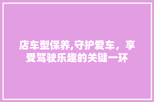 店车型保养,守护爱车，享受驾驶乐趣的关键一环