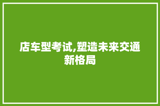 店车型考试,塑造未来交通新格局