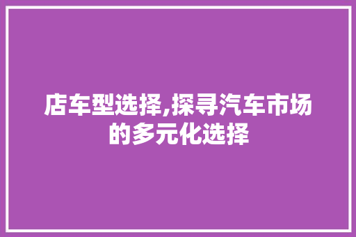 店车型选择,探寻汽车市场的多元化选择