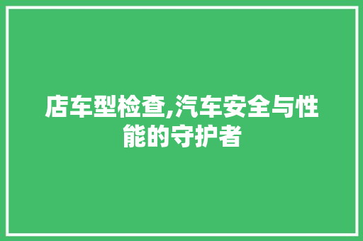 店车型检查,汽车安全与性能的守护者