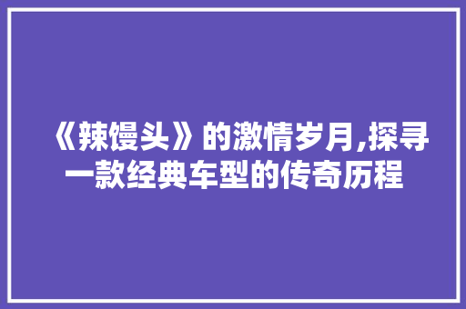 《辣馒头》的激情岁月,探寻一款经典车型的传奇历程