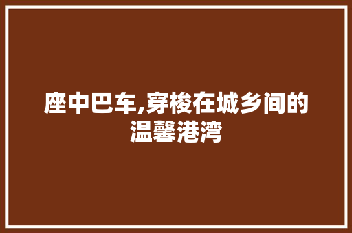 座中巴车,穿梭在城乡间的温馨港湾