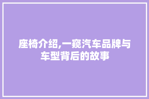 座椅介绍,一窥汽车品牌与车型背后的故事