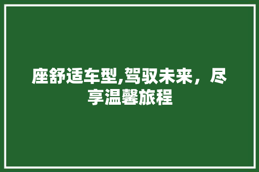 座舒适车型,驾驭未来，尽享温馨旅程