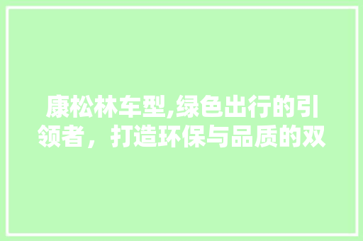 康松林车型,绿色出行的引领者，打造环保与品质的双重享受