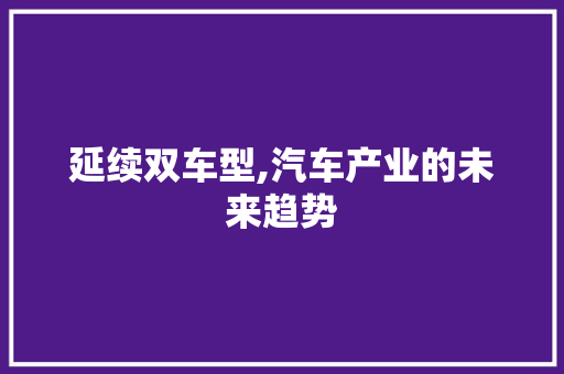 延续双车型,汽车产业的未来趋势