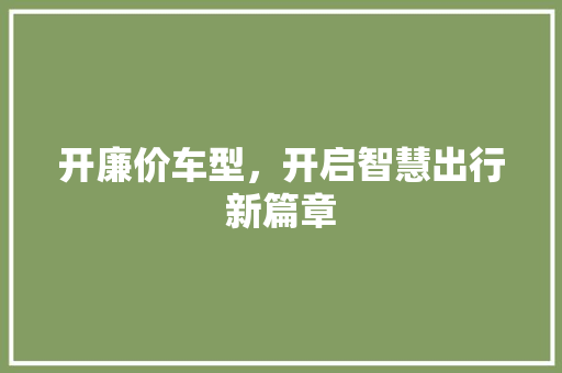 开廉价车型，开启智慧出行新篇章