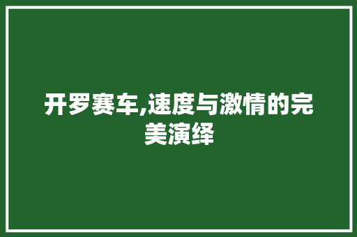 开罗赛车,速度与激情的完美演绎