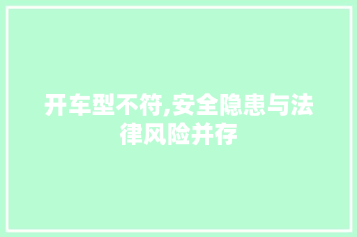 开车型不符,安全隐患与法律风险并存