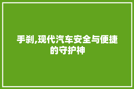 手刹,现代汽车安全与便捷的守护神