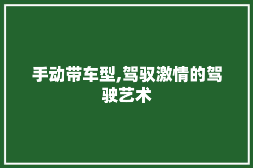 手动带车型,驾驭激情的驾驶艺术