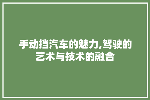 手动挡汽车的魅力,驾驶的艺术与技术的融合