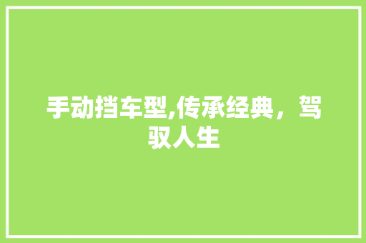 手动挡车型,传承经典，驾驭人生