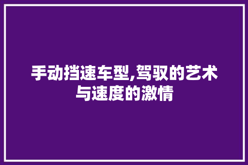 手动挡速车型,驾驭的艺术与速度的激情