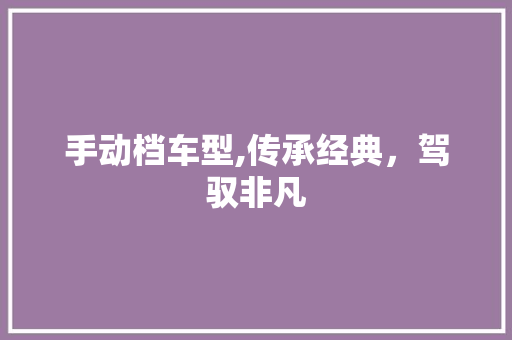 手动档车型,传承经典，驾驭非凡