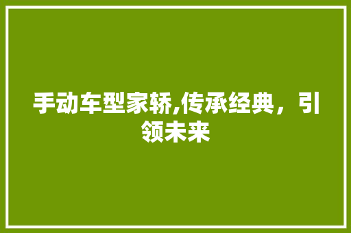 手动车型家轿,传承经典，引领未来