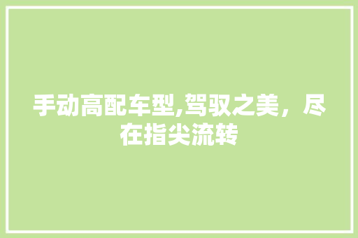 手动高配车型,驾驭之美，尽在指尖流转