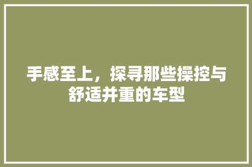 手感至上，探寻那些操控与舒适并重的车型