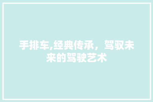 手排车,经典传承，驾驭未来的驾驶艺术