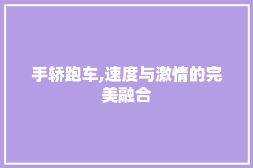 手轿跑车,速度与激情的完美融合