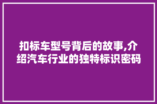 扣标车型号背后的故事,介绍汽车行业的独特标识密码 蓄电池配件