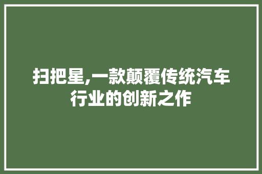 扫把星,一款颠覆传统汽车行业的创新之作 新能源汽车