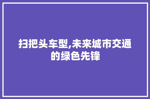 扫把头车型,未来城市交通的绿色先锋