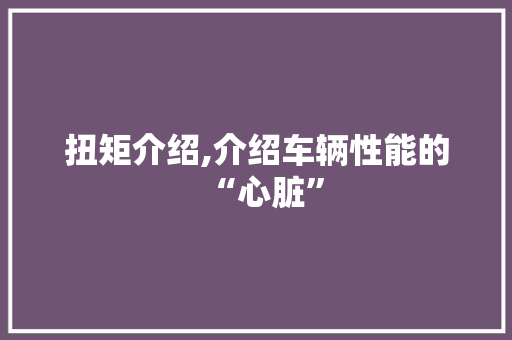 扭矩介绍,介绍车辆性能的“心脏”