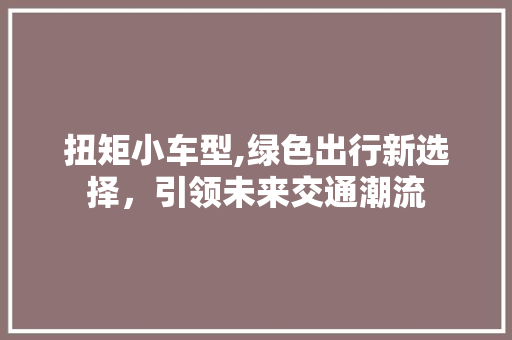 扭矩小车型,绿色出行新选择，引领未来交通潮流
