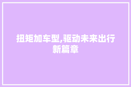 扭矩加车型,驱动未来出行新篇章