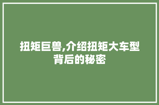 扭矩巨兽,介绍扭矩大车型背后的秘密
