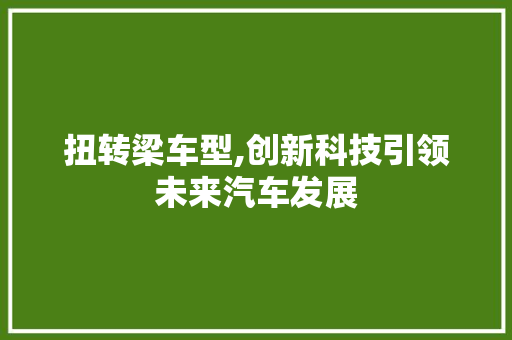 扭转梁车型,创新科技引领未来汽车发展